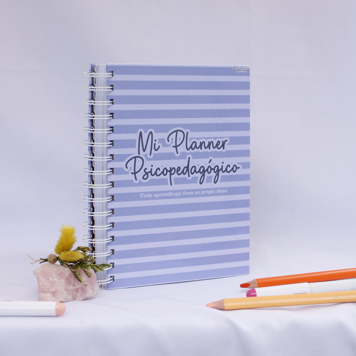 Mi Planner Psicopedagógico