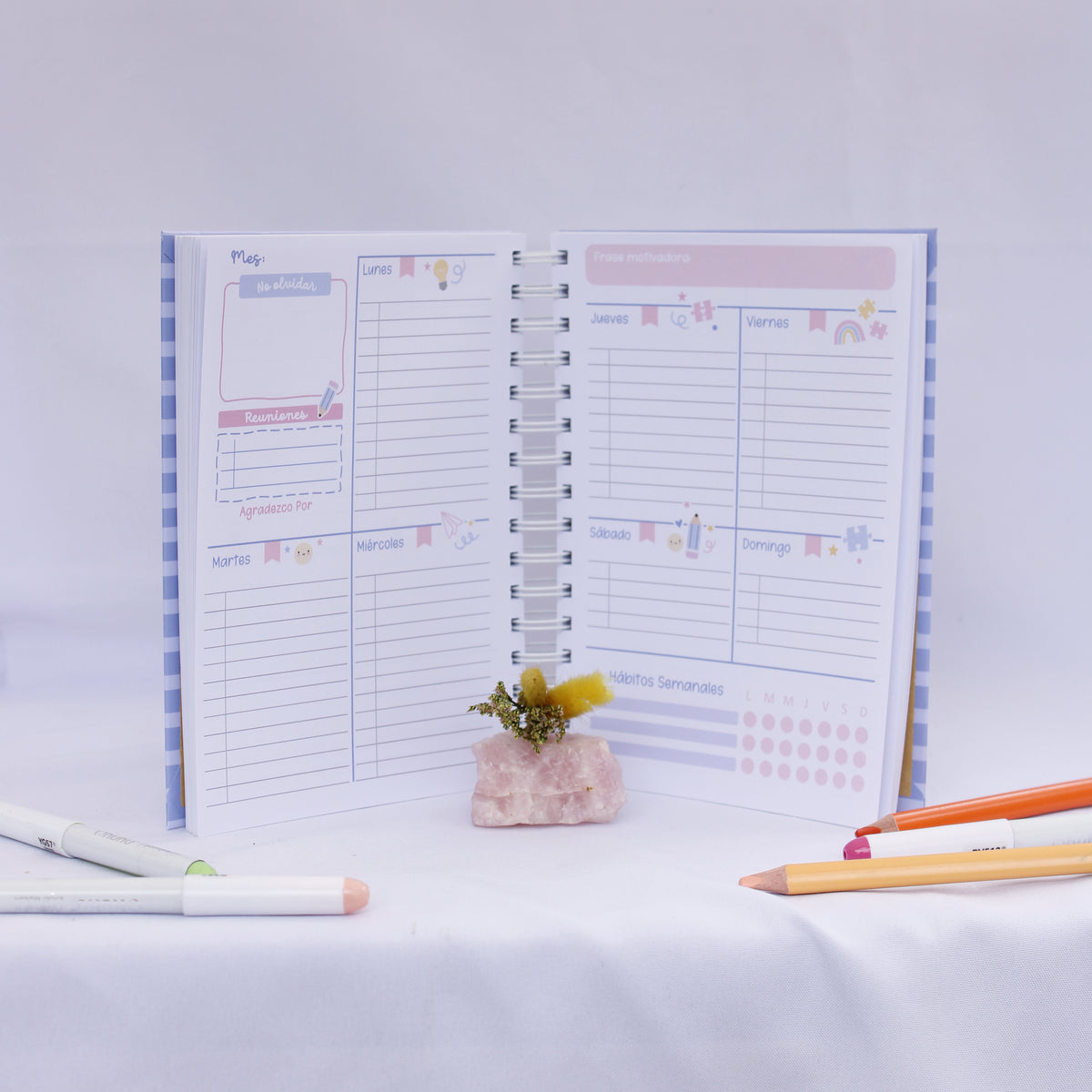 Mi Planner Psicopedagógico