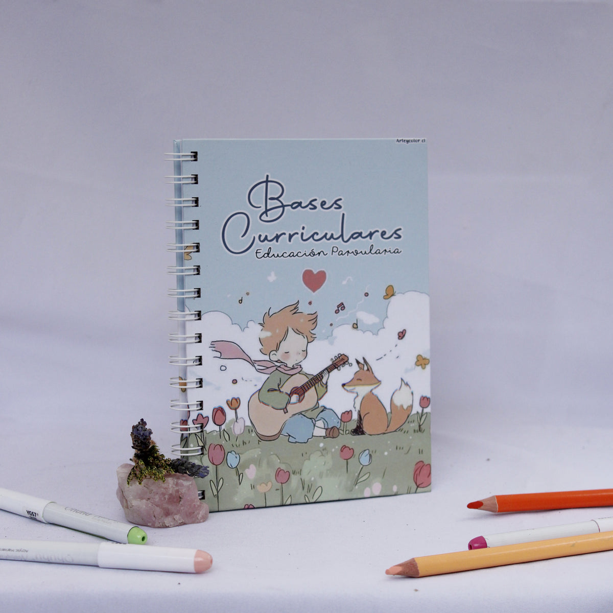 Bases Curriculares Educación Parvularia – Diseño Principito