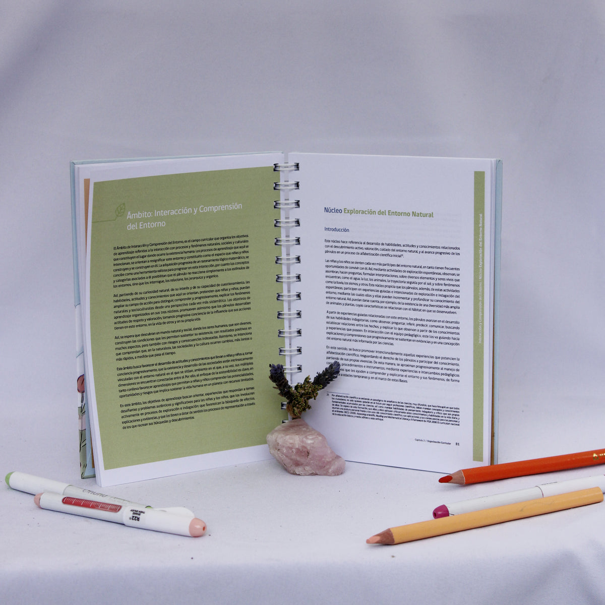 Bases Curriculares – Diseño Mariposas
