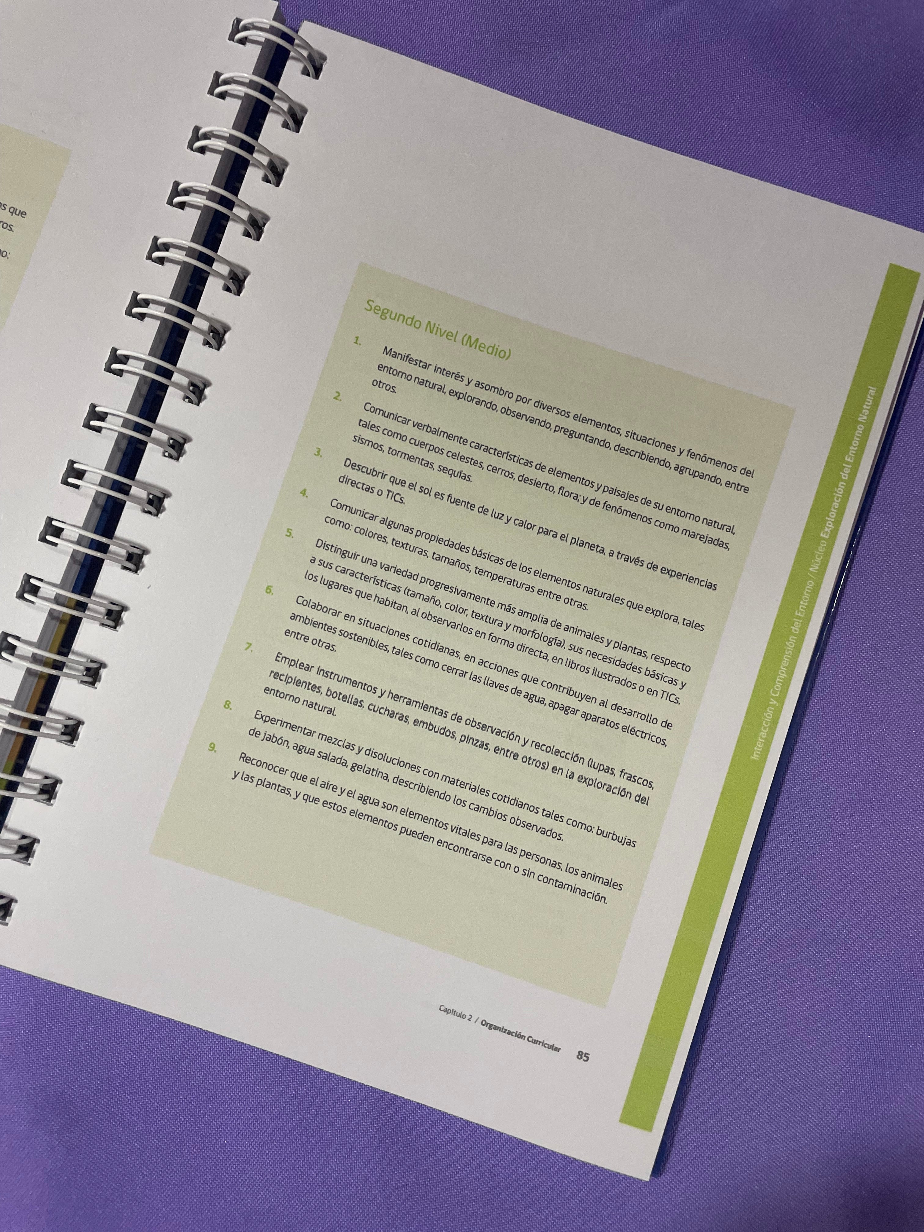 📘 Bases Curriculares de la Educación Parvularia – Edición Anillada