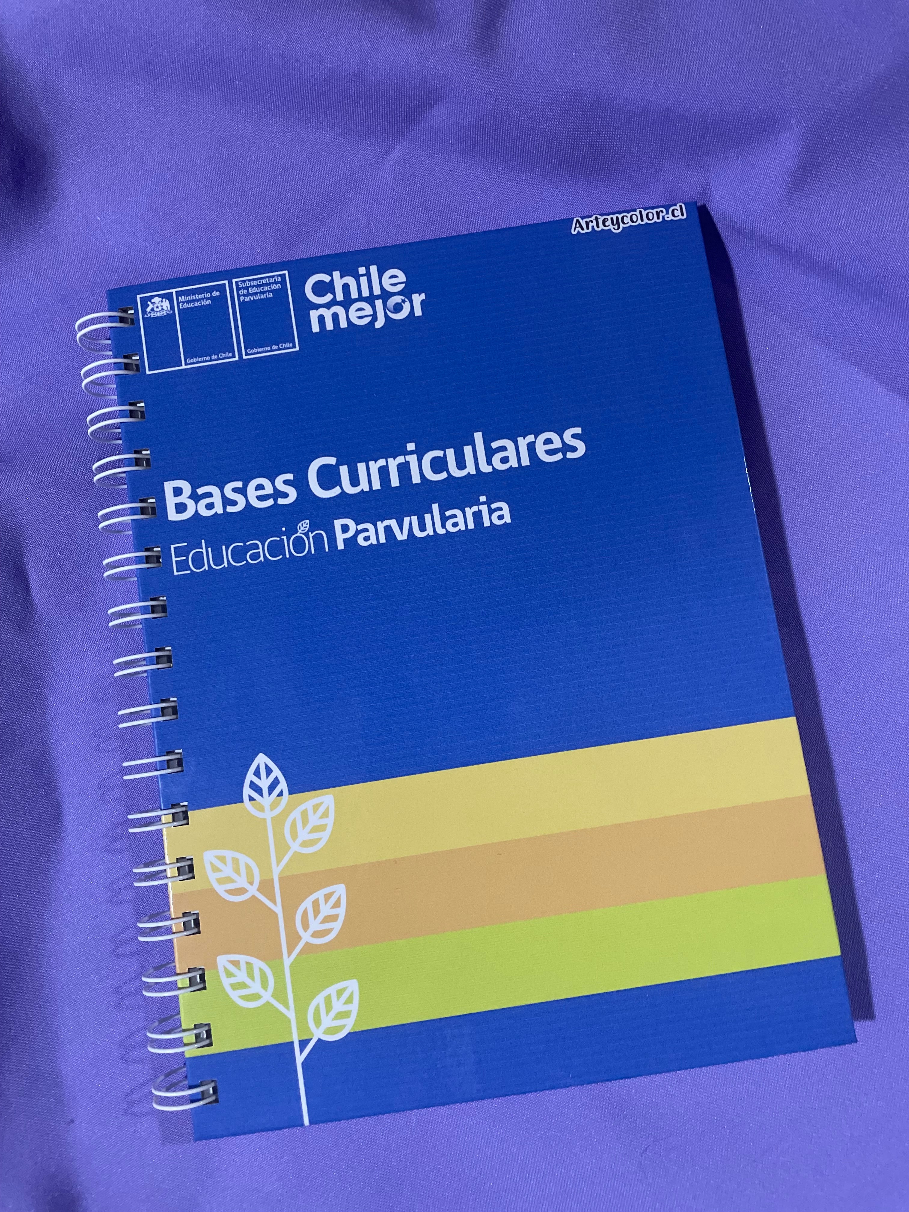 📘 Bases Curriculares de la Educación Parvularia – Edición Anillada