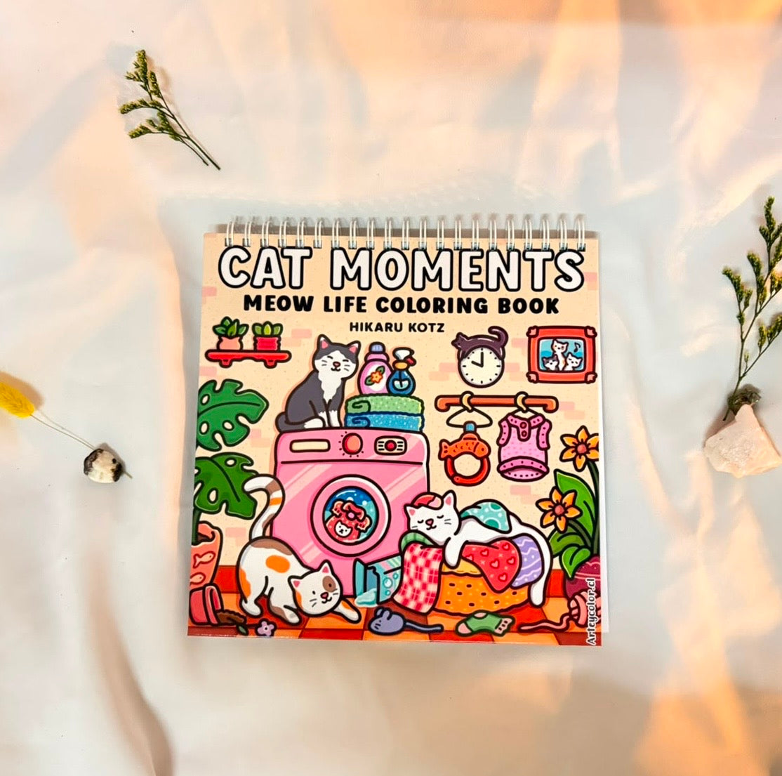 Cat Moments 🐱✨