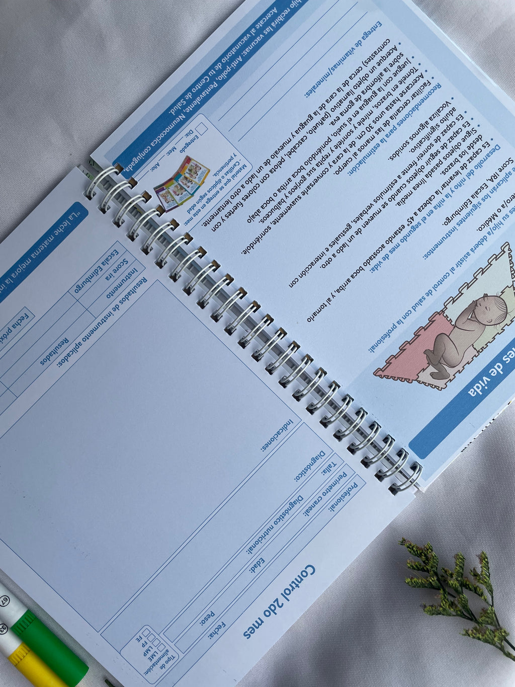 Carnet control sano