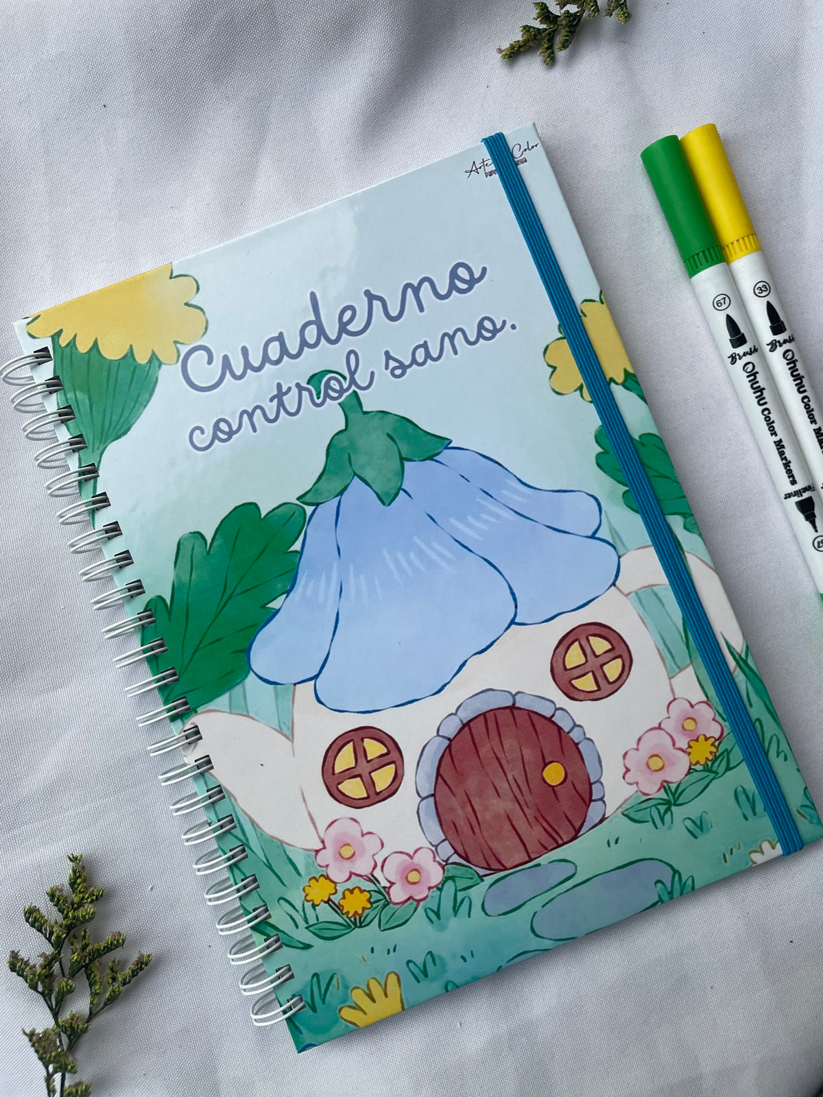 Carnet control sano
