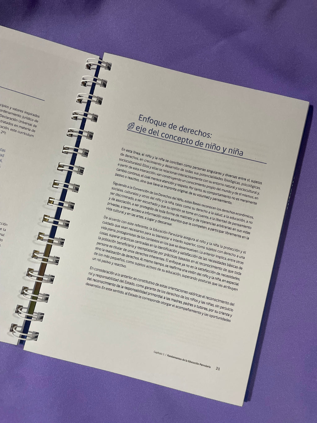 📘 Bases Curriculares de la Educación Parvularia – Edición Anillada