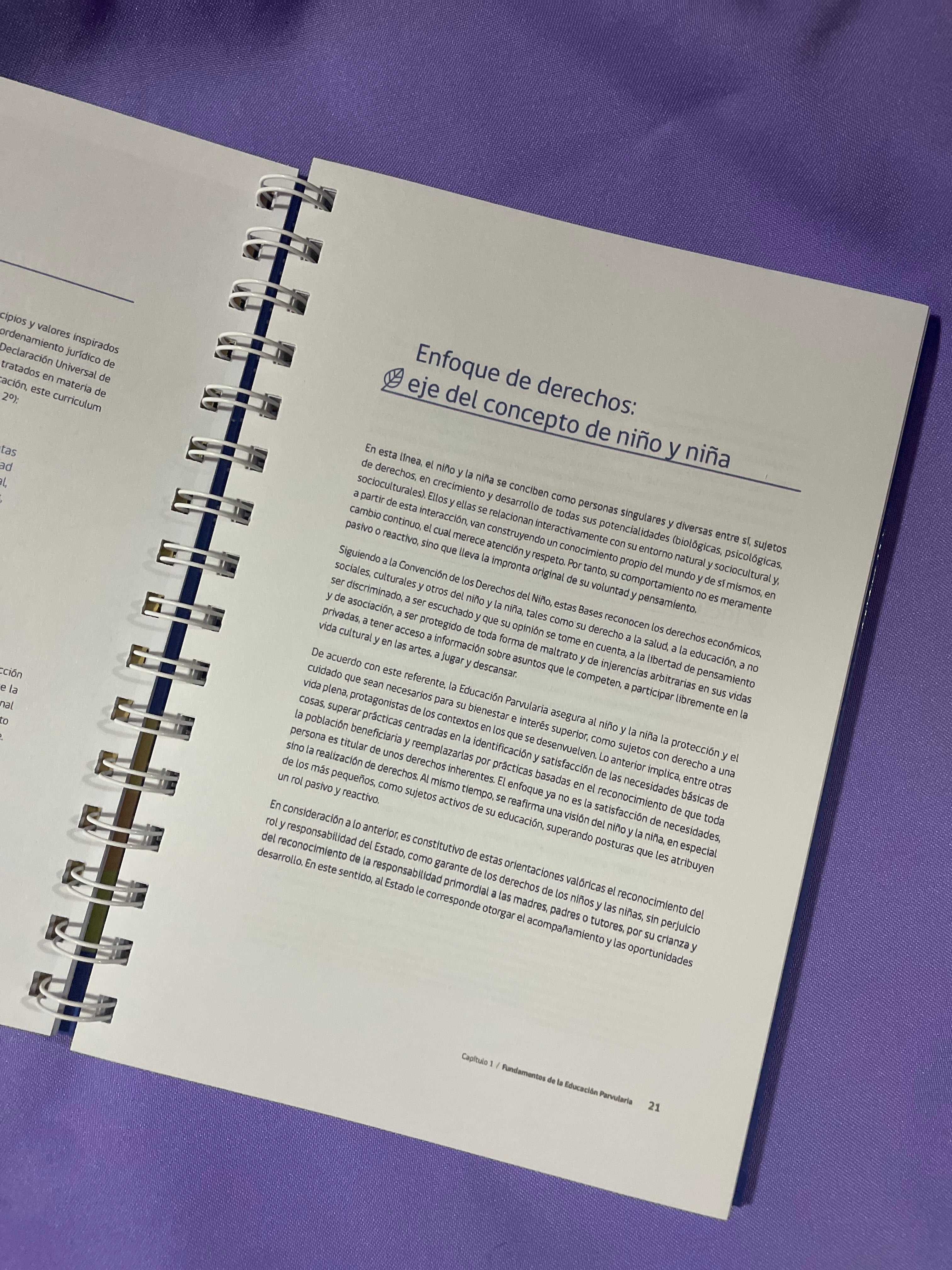 📘 Bases Curriculares de la Educación Parvularia – Edición Anillada