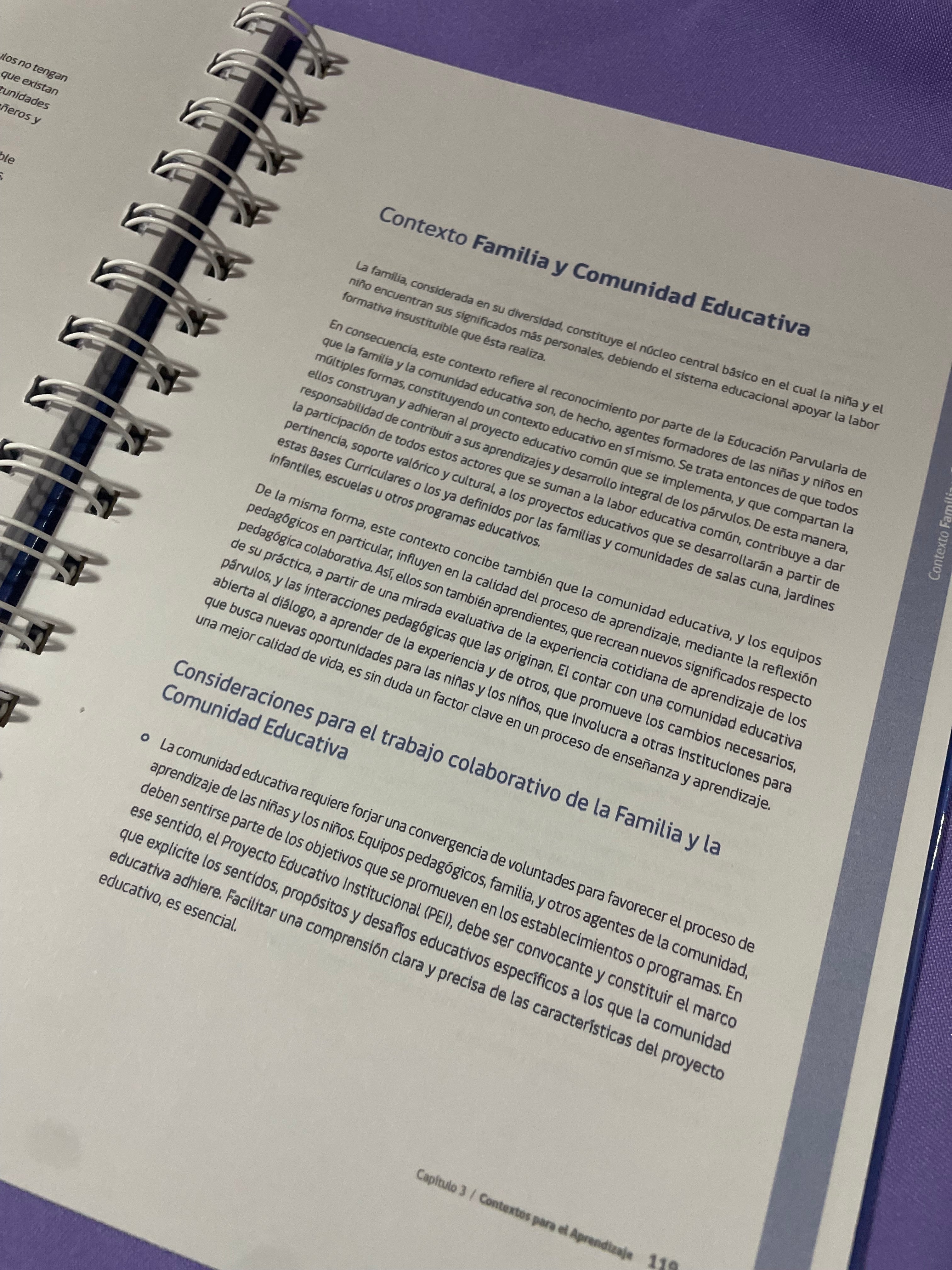 📘 Bases Curriculares de la Educación Parvularia – Edición Anillada