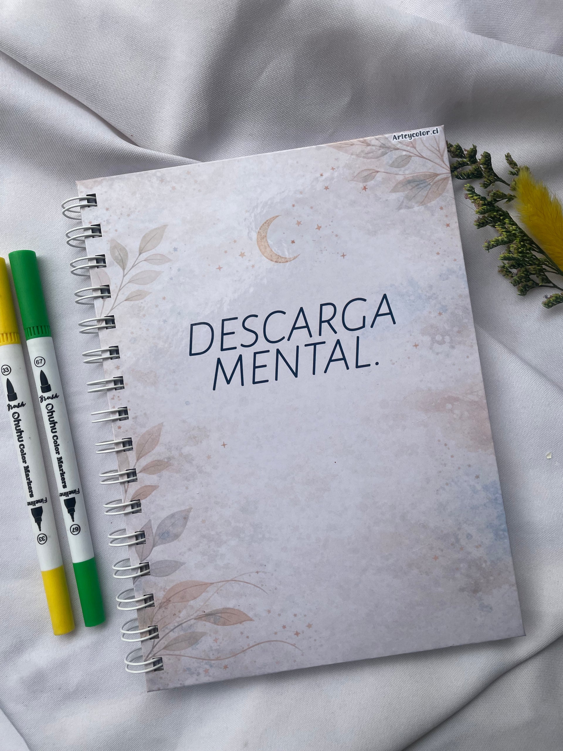 Descarga Mental ✨