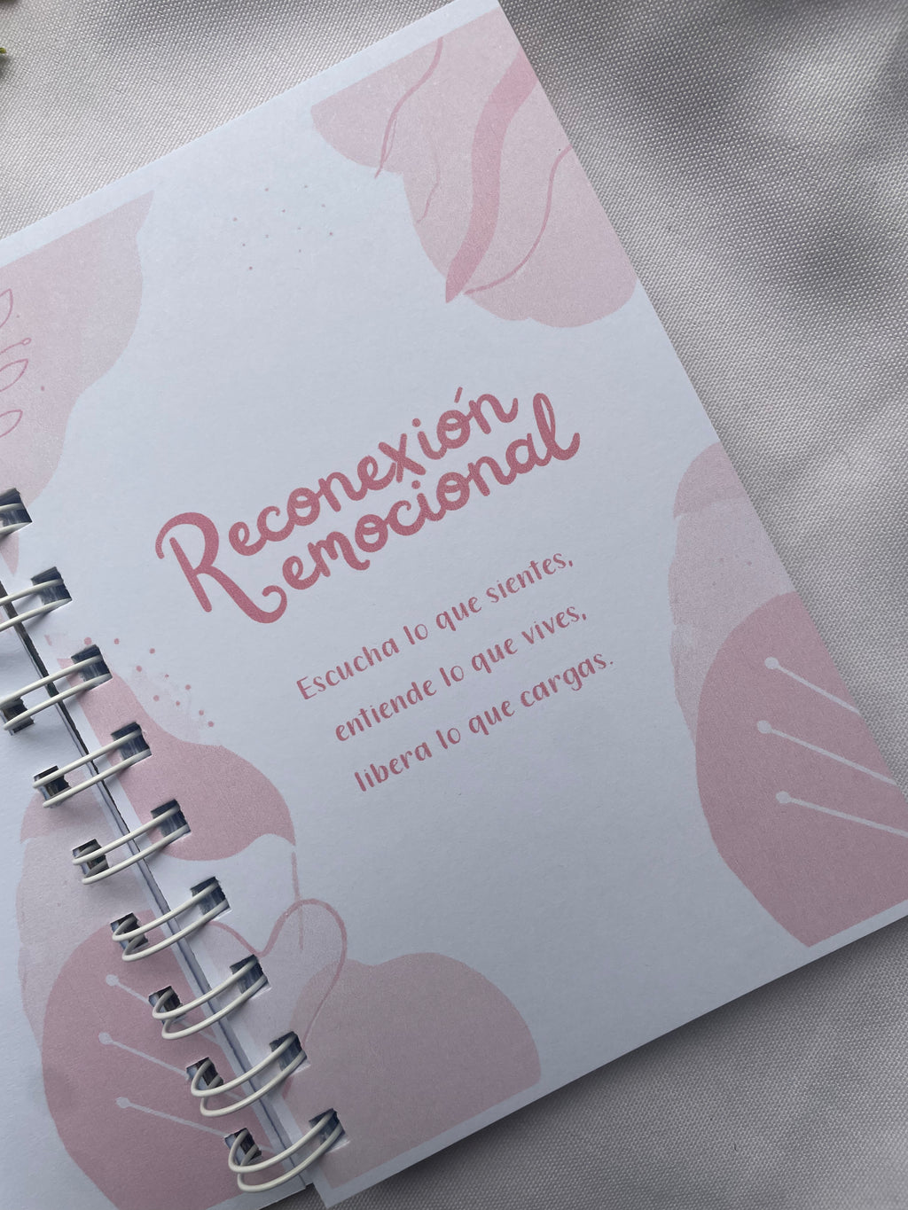 Reconecta