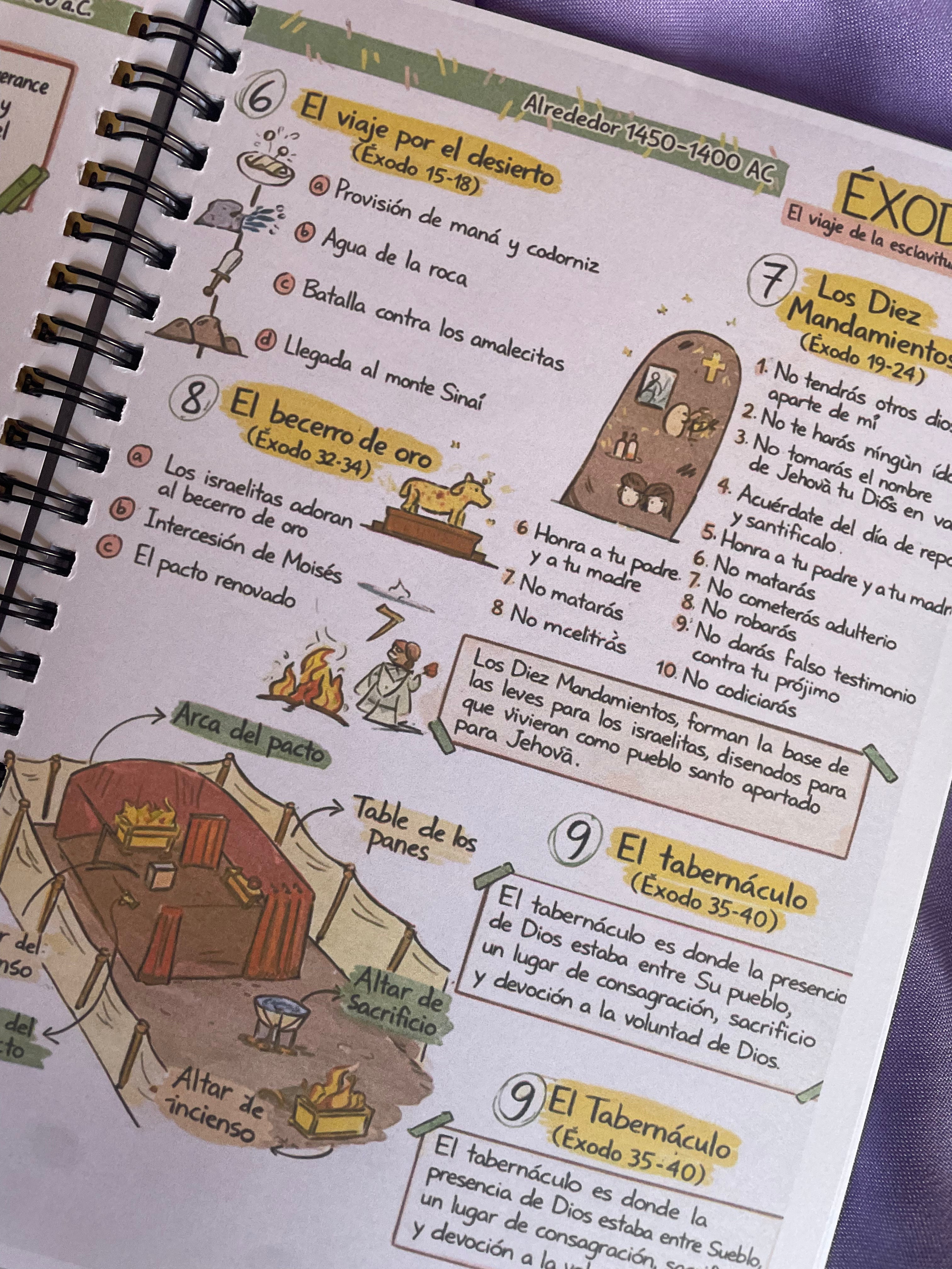 ✝️ Antiguo + Nuevo Testamento Ilustrado 2026 – Edición Especial 2 en 1