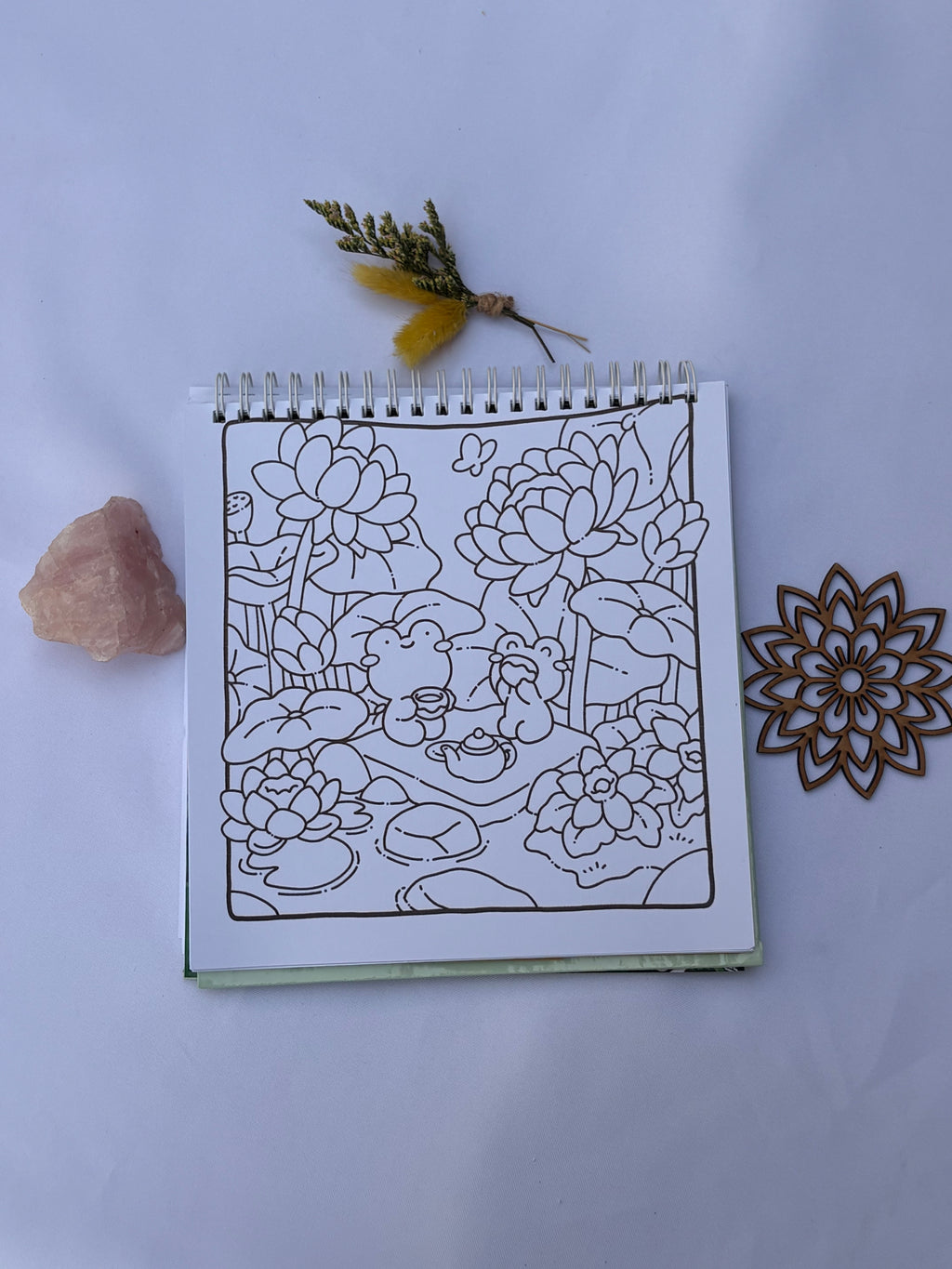 🐸🌸 Froggy Days – Cute & Easy 🍃🍄✨