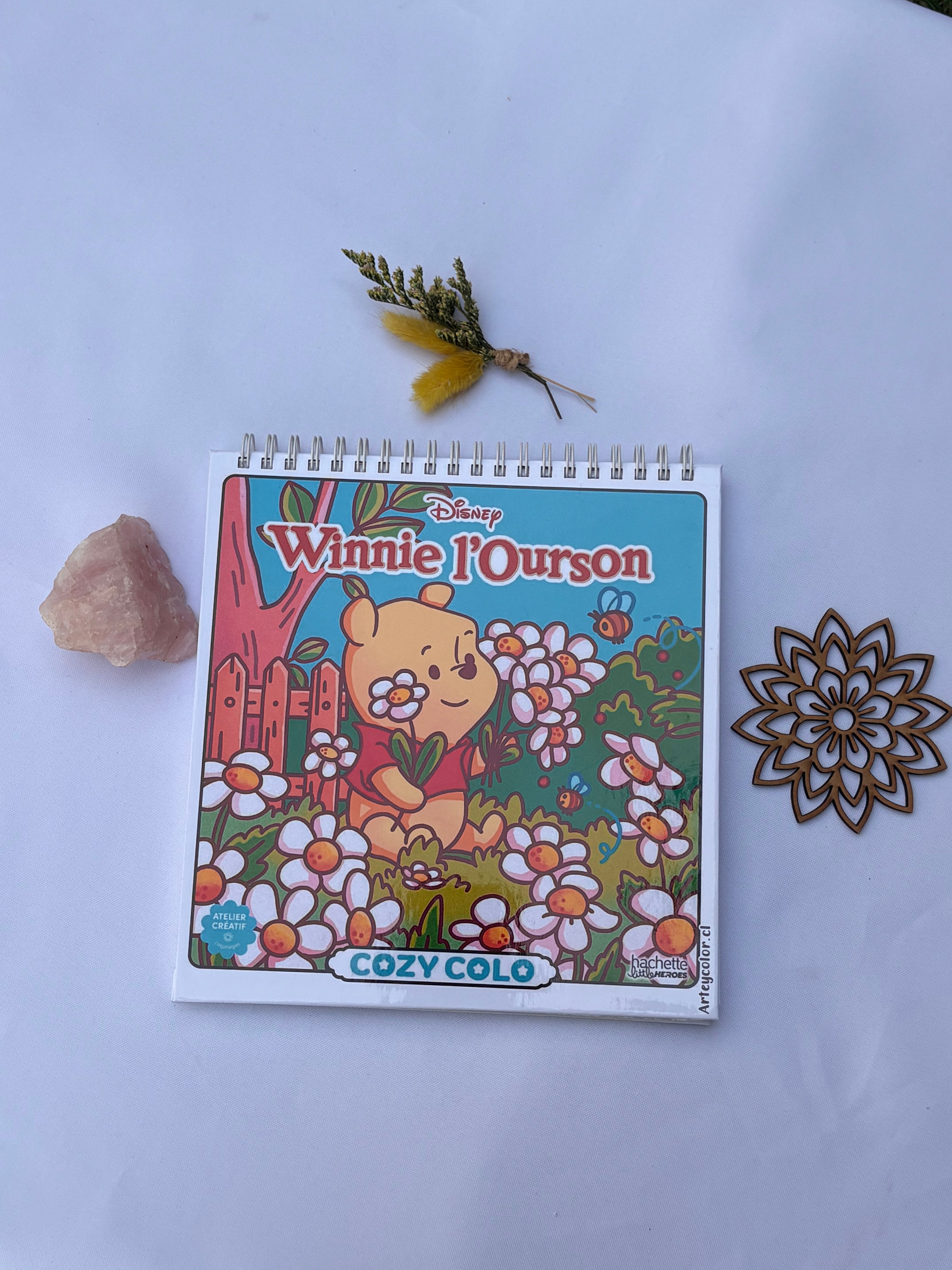 🍯🌼 Disney Winnie l'Ourson – Cozy Colo 🐻🐝✨
