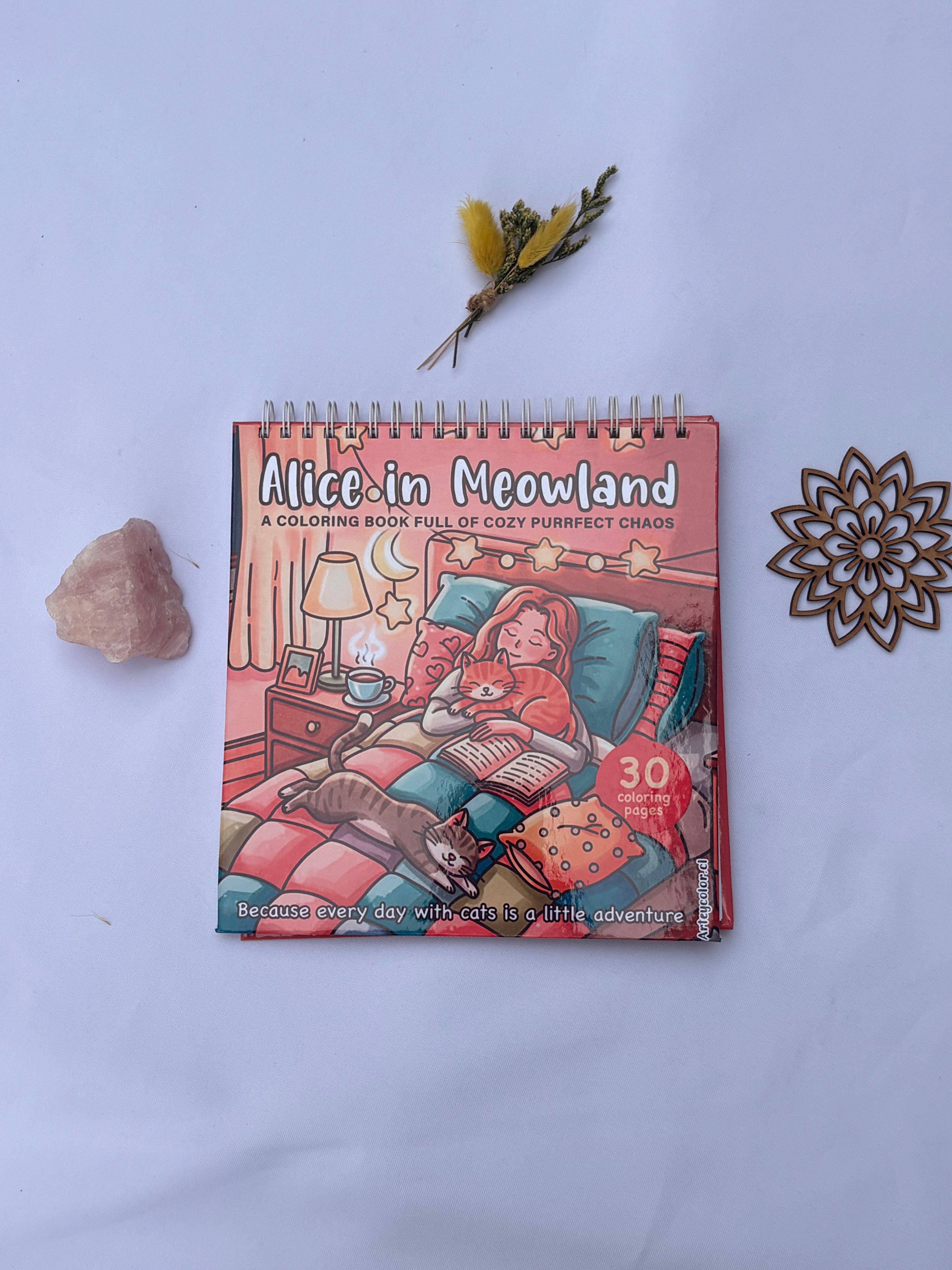 🐱✨ Alice in Meowland – A Full of Cozy Purrfect Chaos 🛏️🐾☕