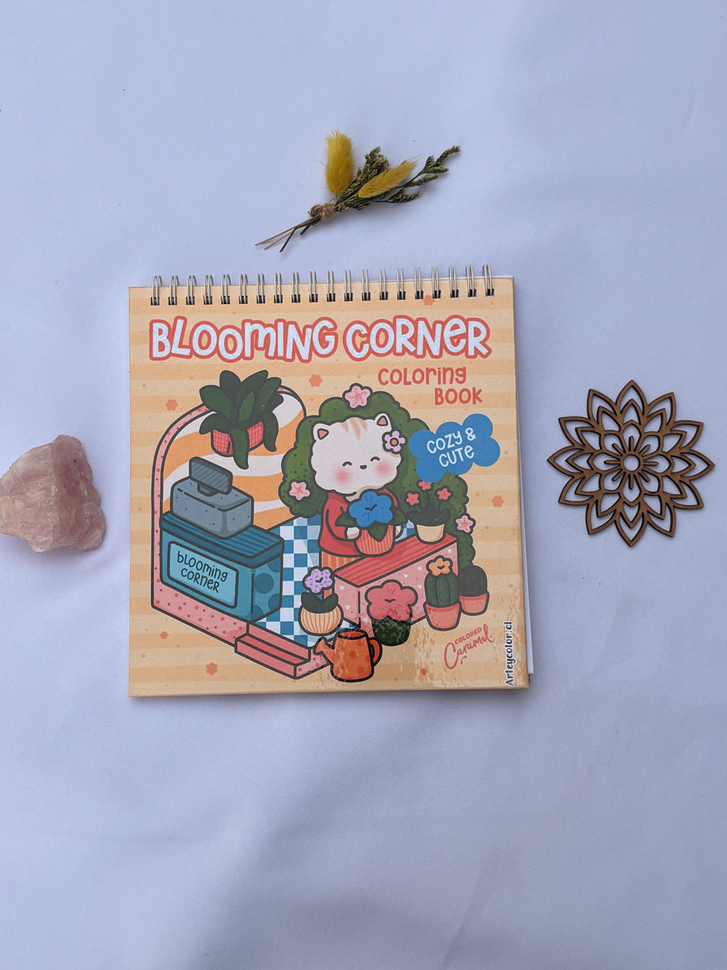 🌸🪴 Blooming Corner – Cozy & Cute 🐱🌼✨