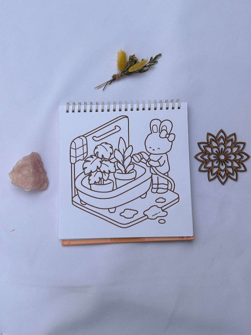 🌸🪴 Blooming Corner – Cozy & Cute 🐱🌼✨