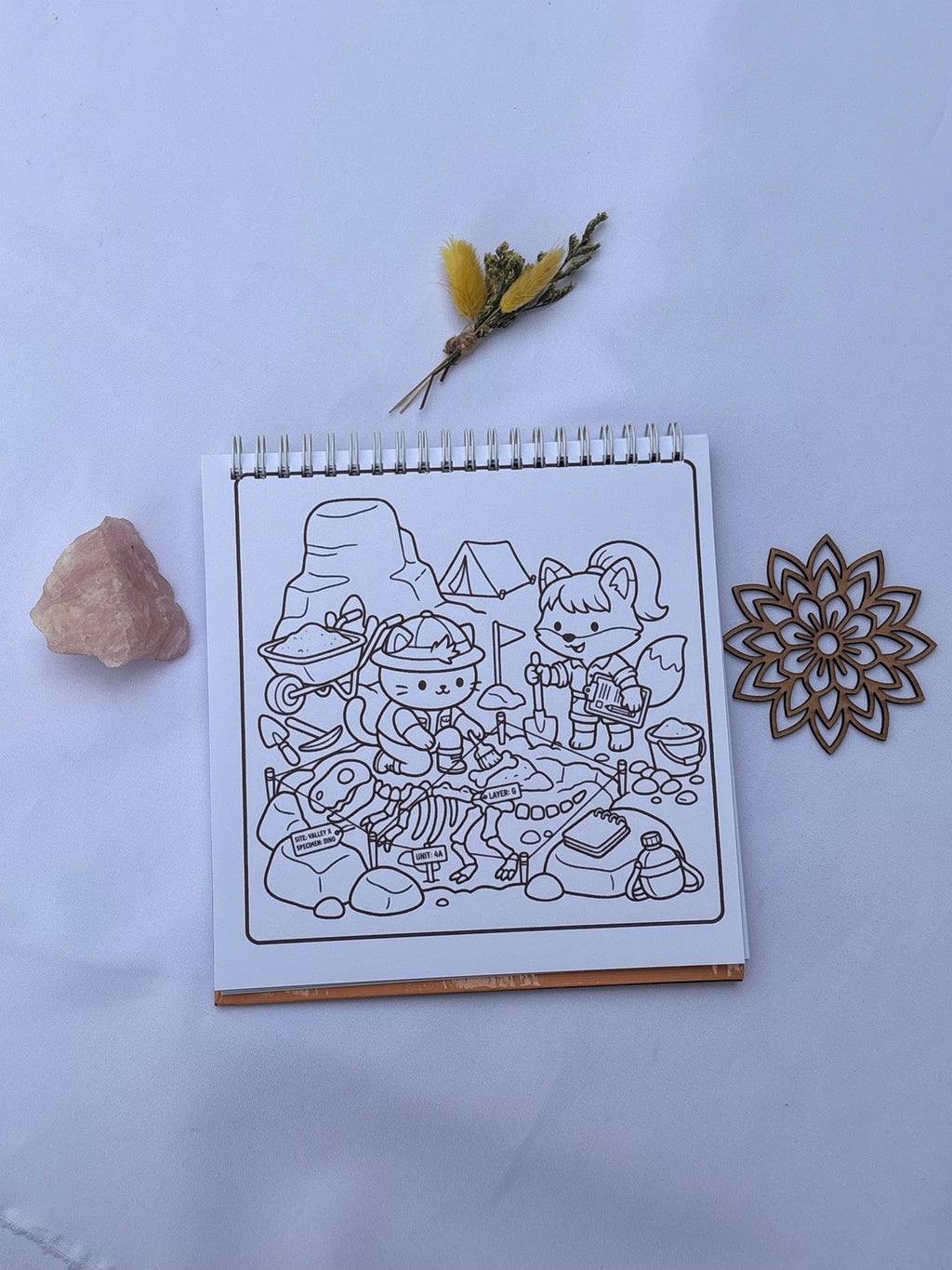 🔮✨ Cozy Discovery – Cute & Cozy 📜⏳🐱