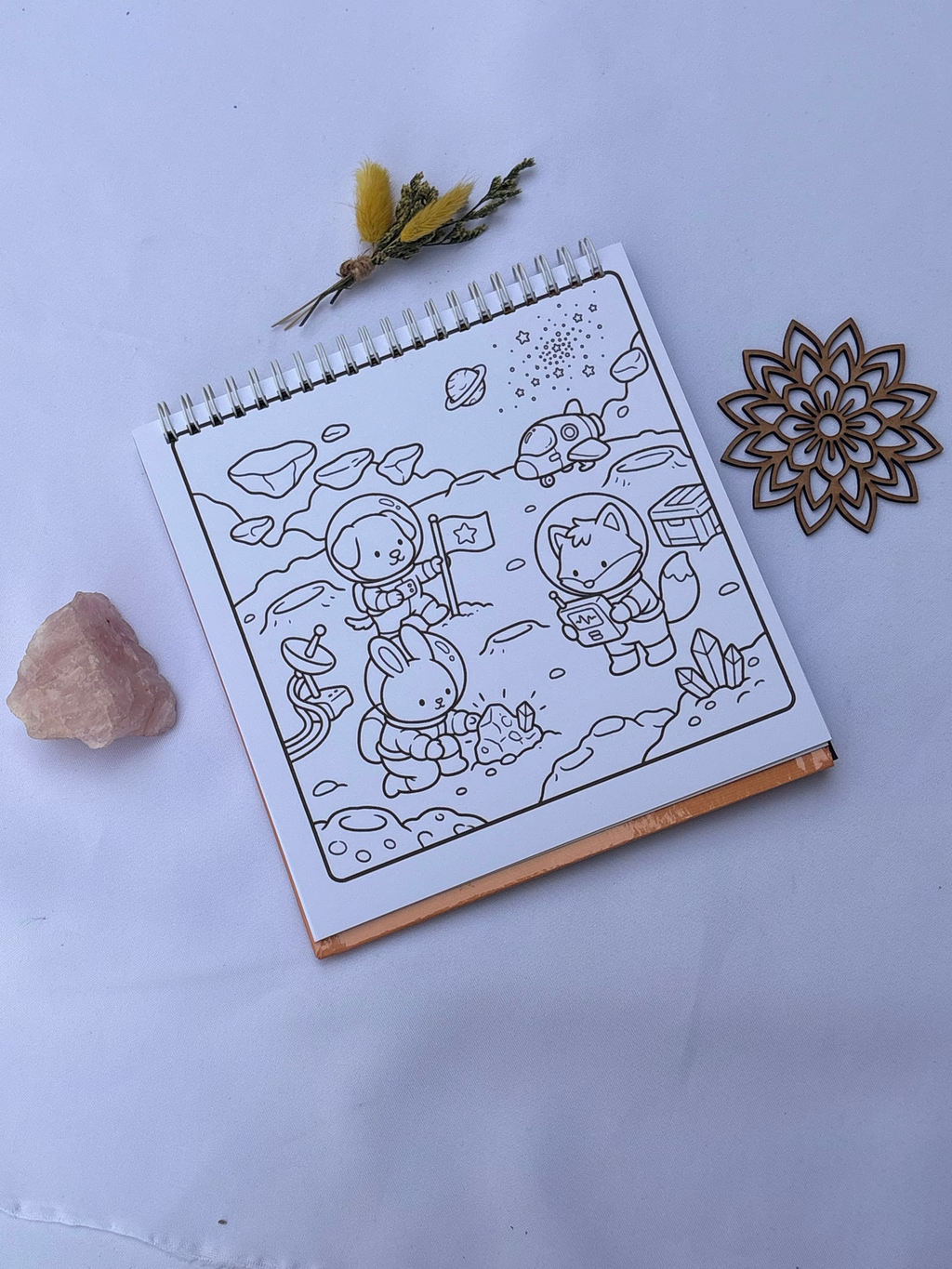🔮✨ Cozy Discovery – Cute & Cozy 📜⏳🐱