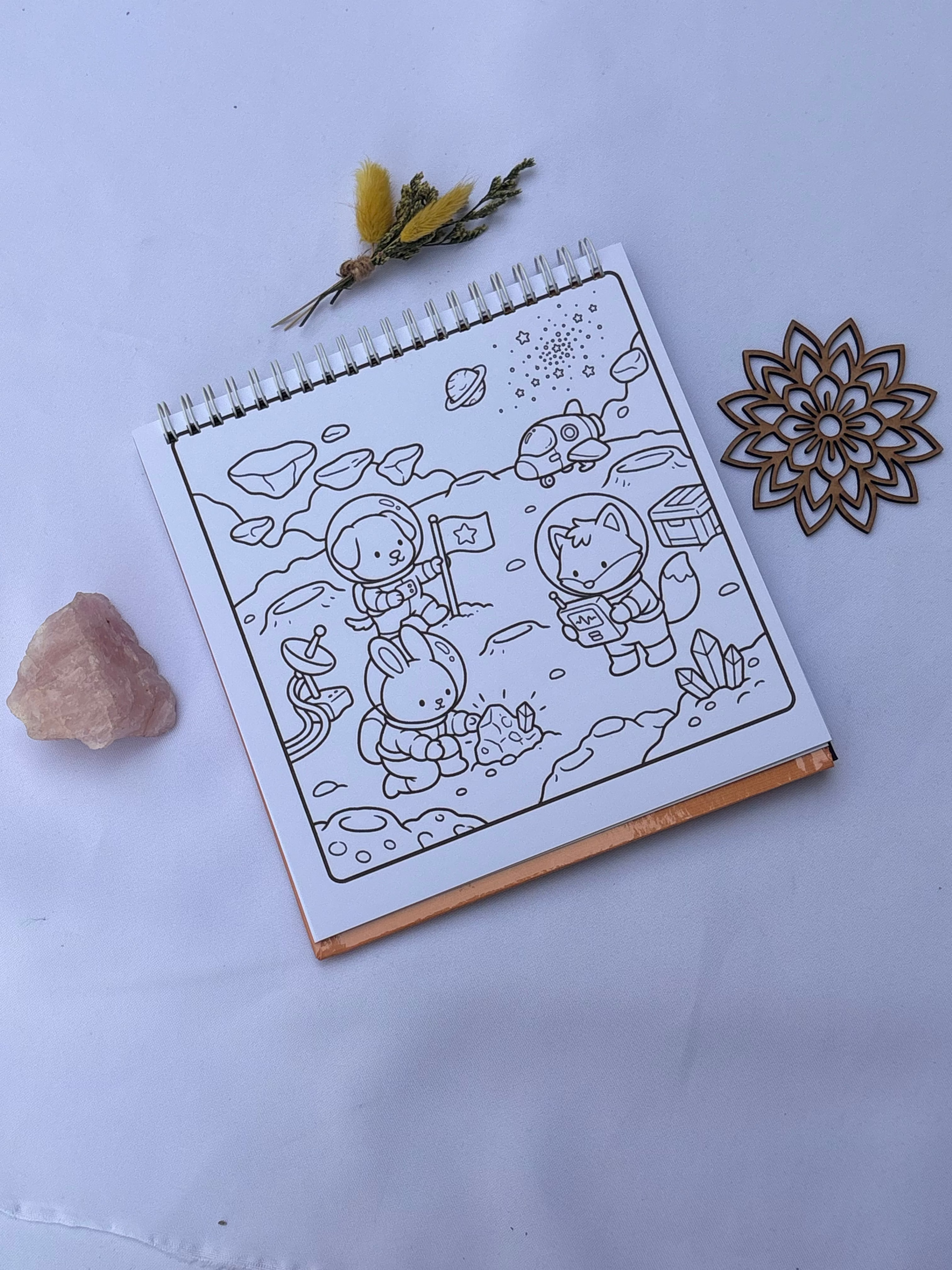 🔮✨ Cozy Discovery – Cute & Cozy 📜⏳🐱