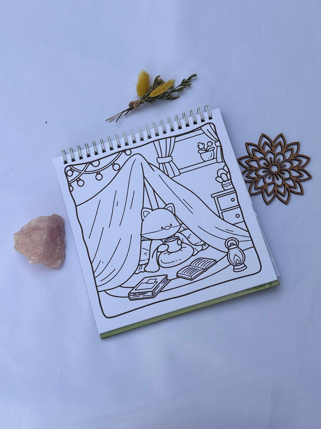 🐢✨ Whimsy Days – Cute & Relaxing 📚☕🛋️