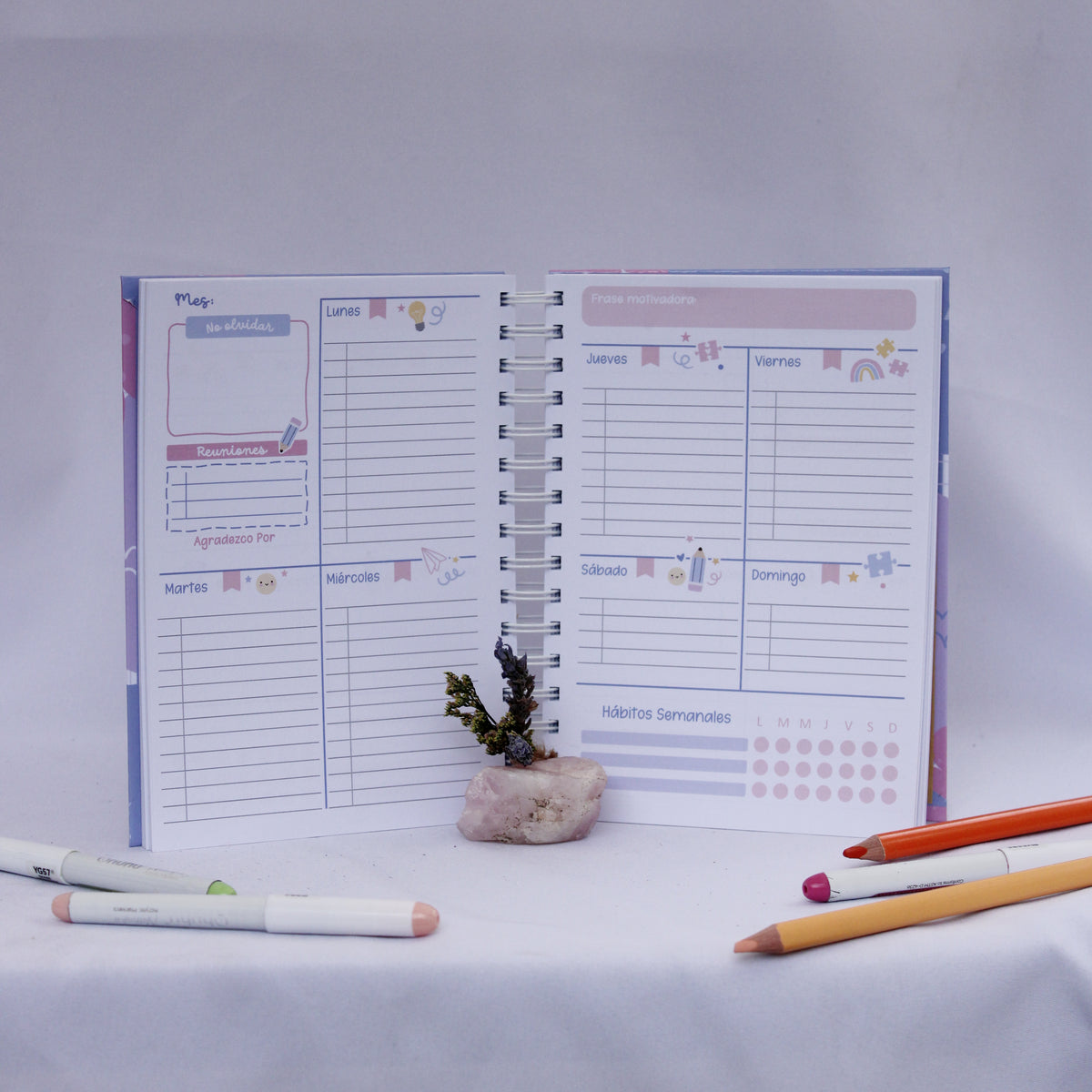 Mi Planner Psicopedagógico – Diseño Aprendizaje