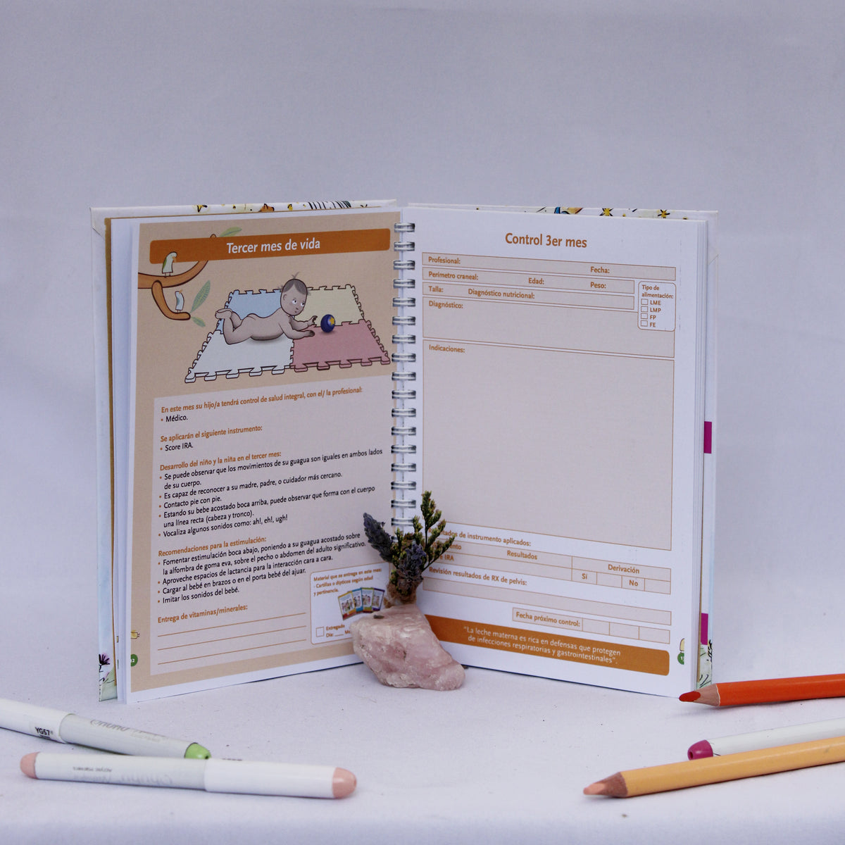 Carnet de Control Sano – Principito