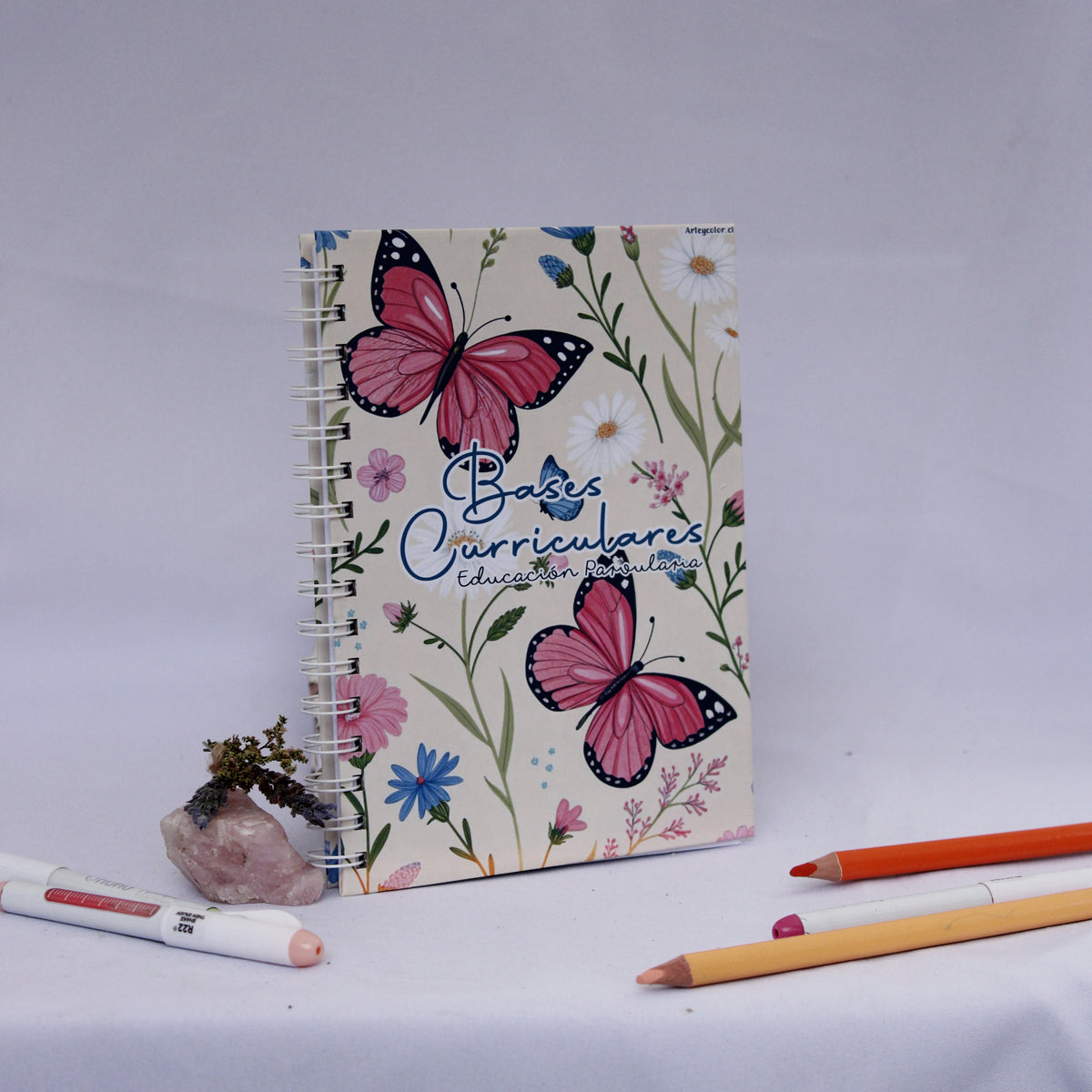Bases Curriculares – Diseño Mariposas