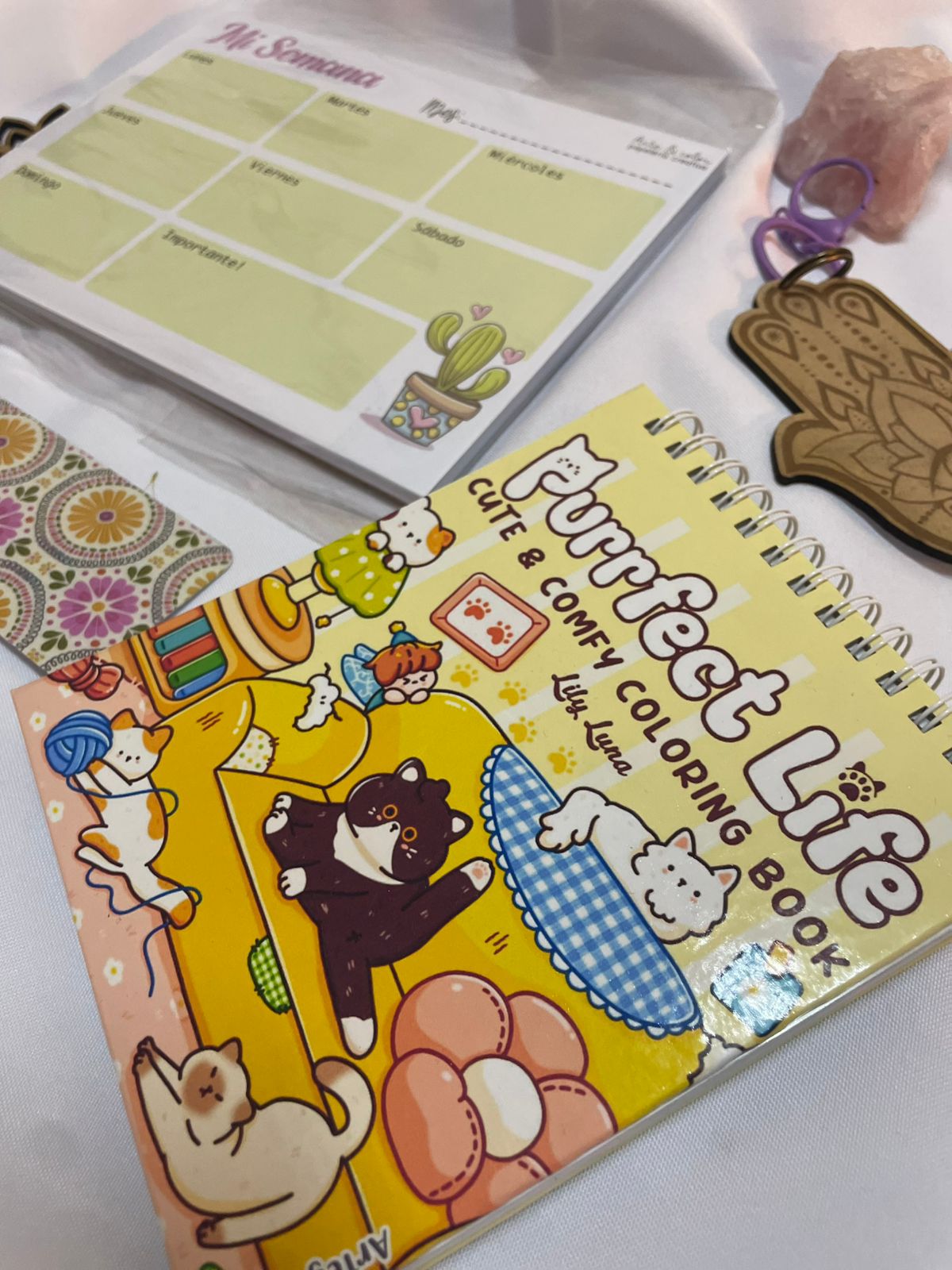🎁 Pack Regala · Cute & Color